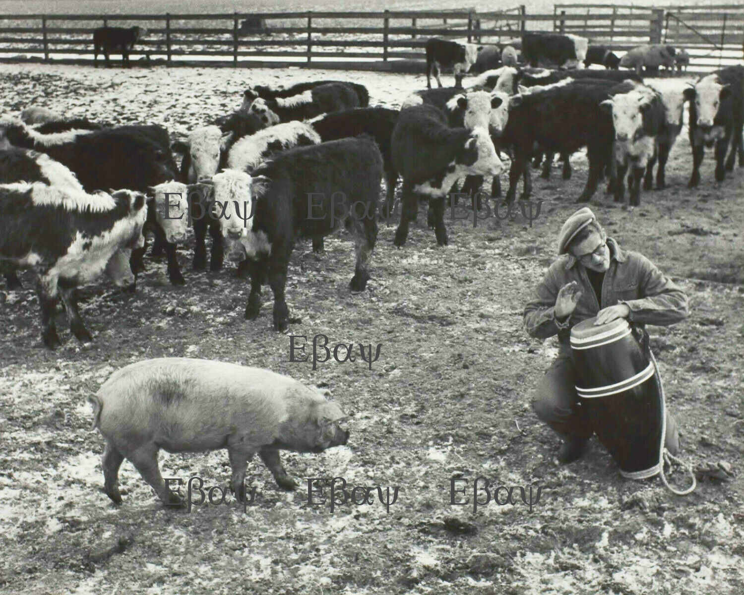 James Dean playing the bongo 8X10 Photo Reprint