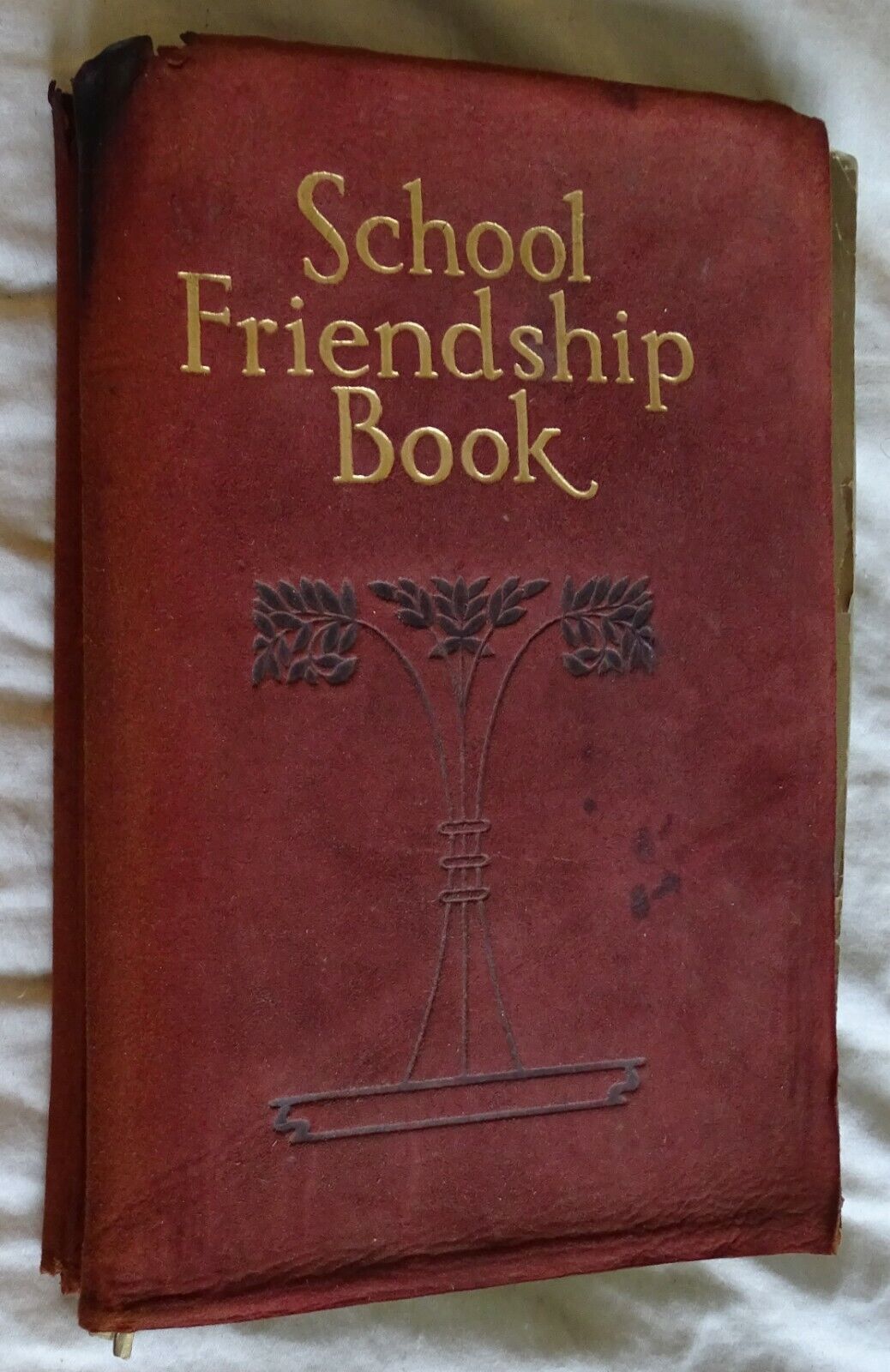 1925 Glenville Normal School West Virginia Friendship scrapbook; real photos,etc