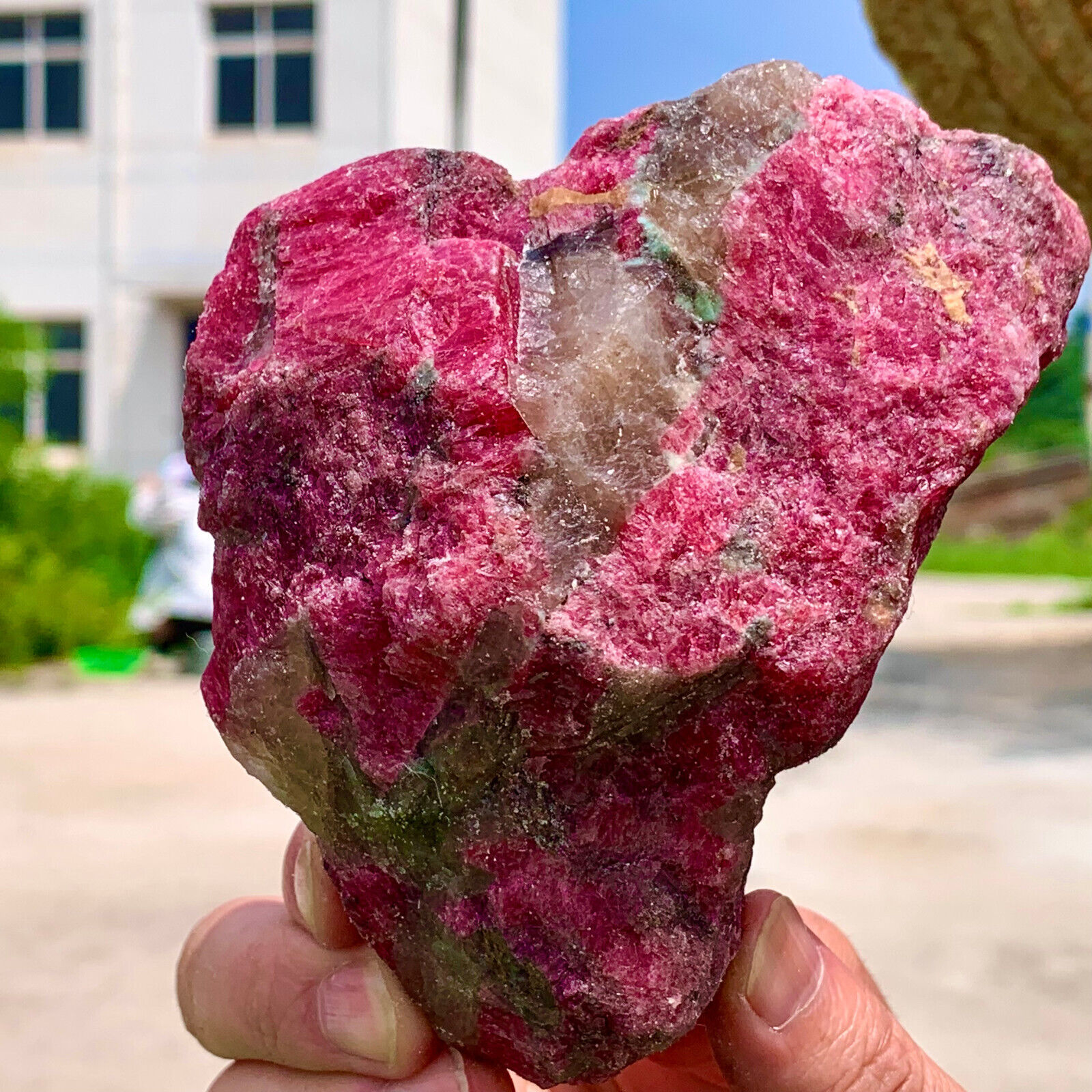 1.47LB  Amazing nature pink Rhodonite raw crystal mineral specimens