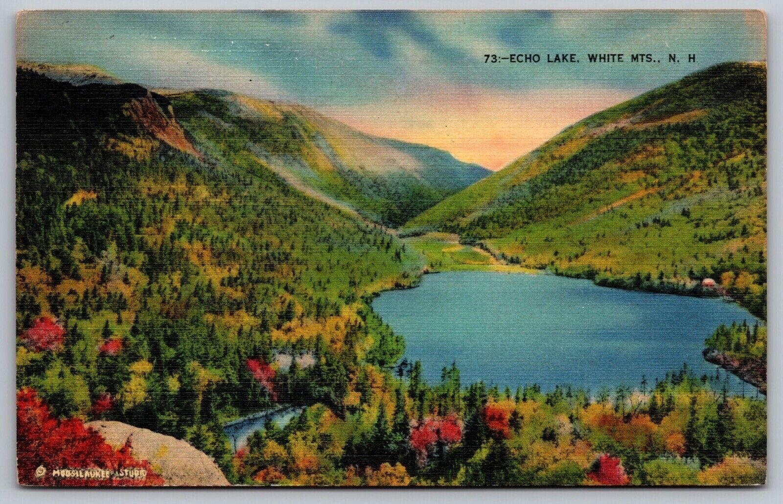 Echo Lake White Mountains New Hampshire Lakefront Franconia Notch PM Postcard