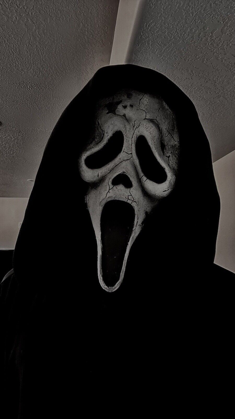 Scream 6 Aged Billy Loomis  Mask￼