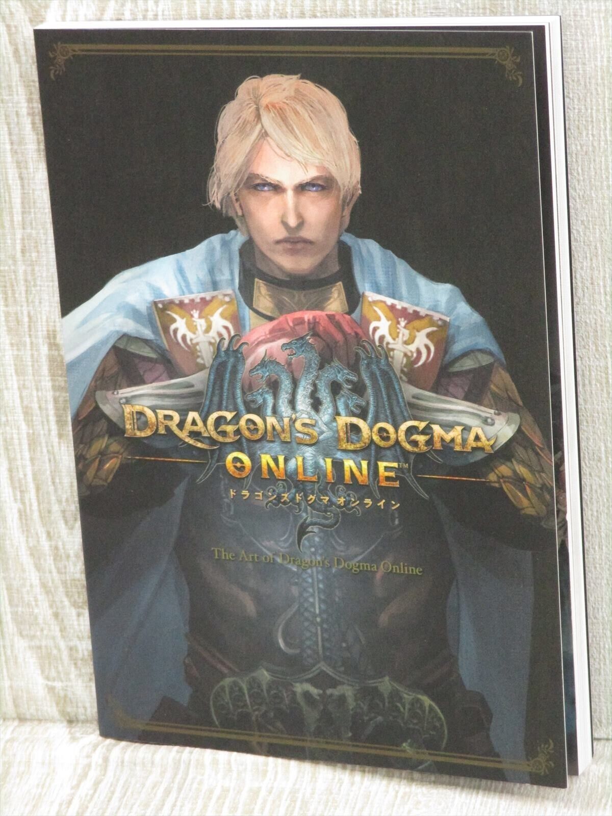DRAGON'S DOGMA ONLINE Art Works Sony PS3 PS4 Book Fan 2015 Japan CAPCOM Ltd *
