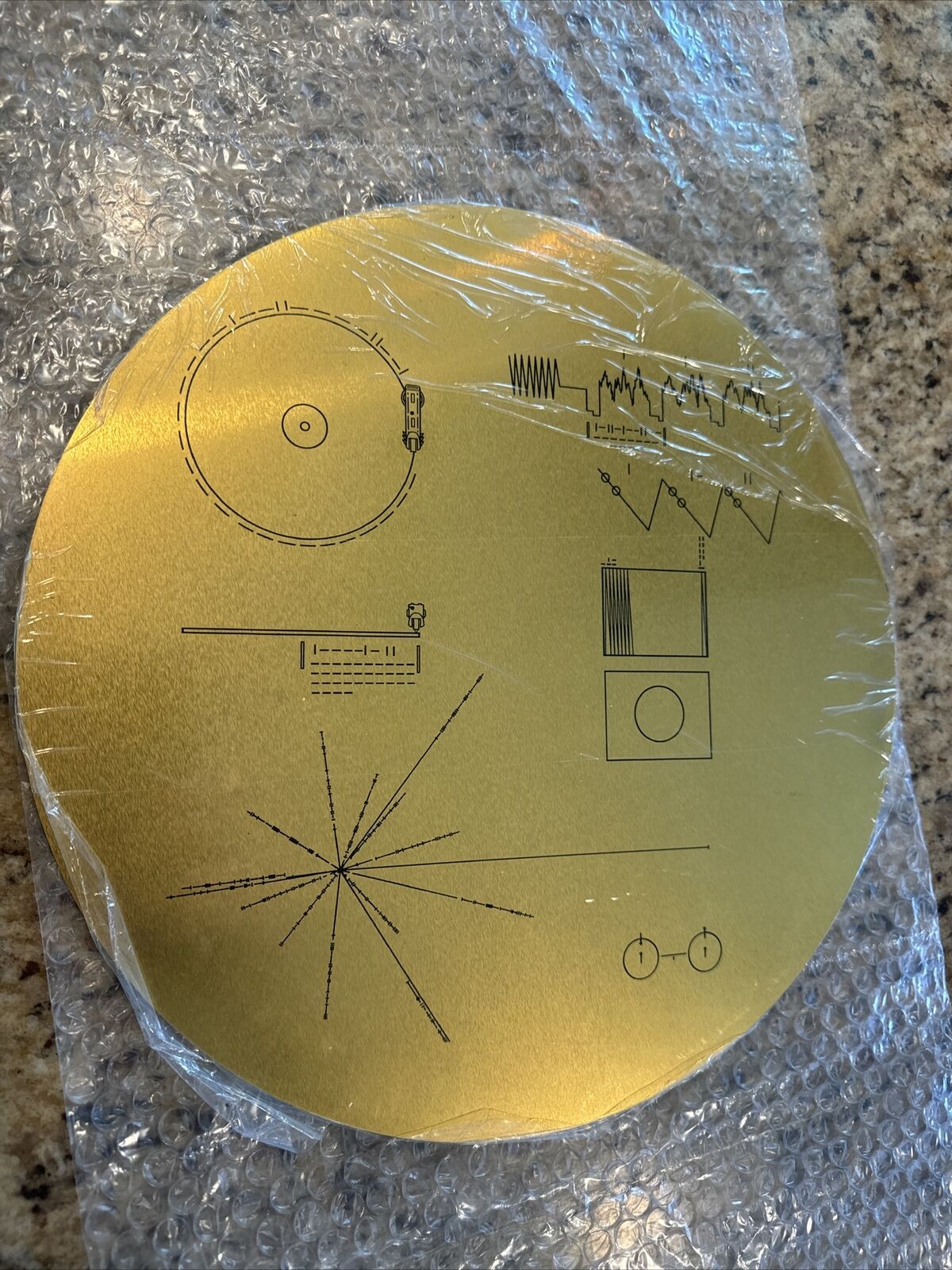 Voyager Golden Record - full size metal replica - Artist Signed