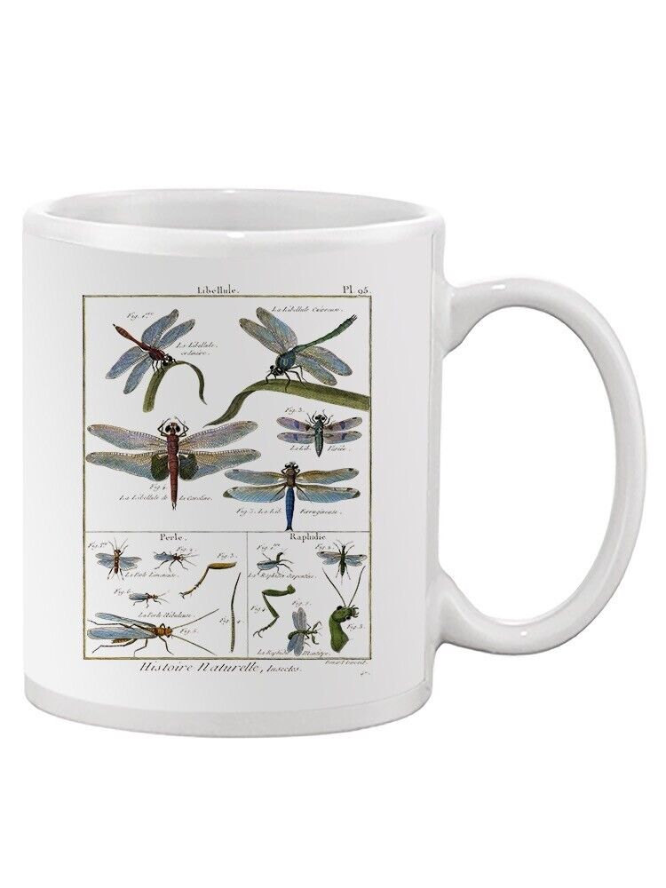 Dragonfly Encyclopedia Mug - Denis Diderot Designs