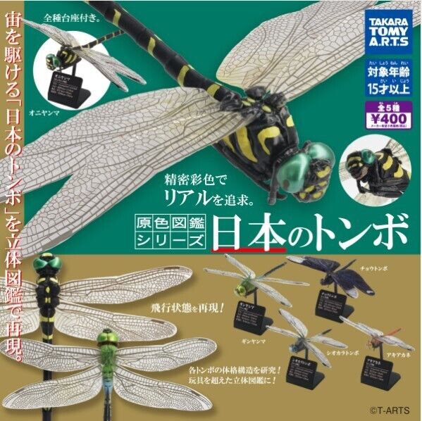 Primary Color Encyclopedia Series Japan Dragonflies All 5 Species Onyanma Giny