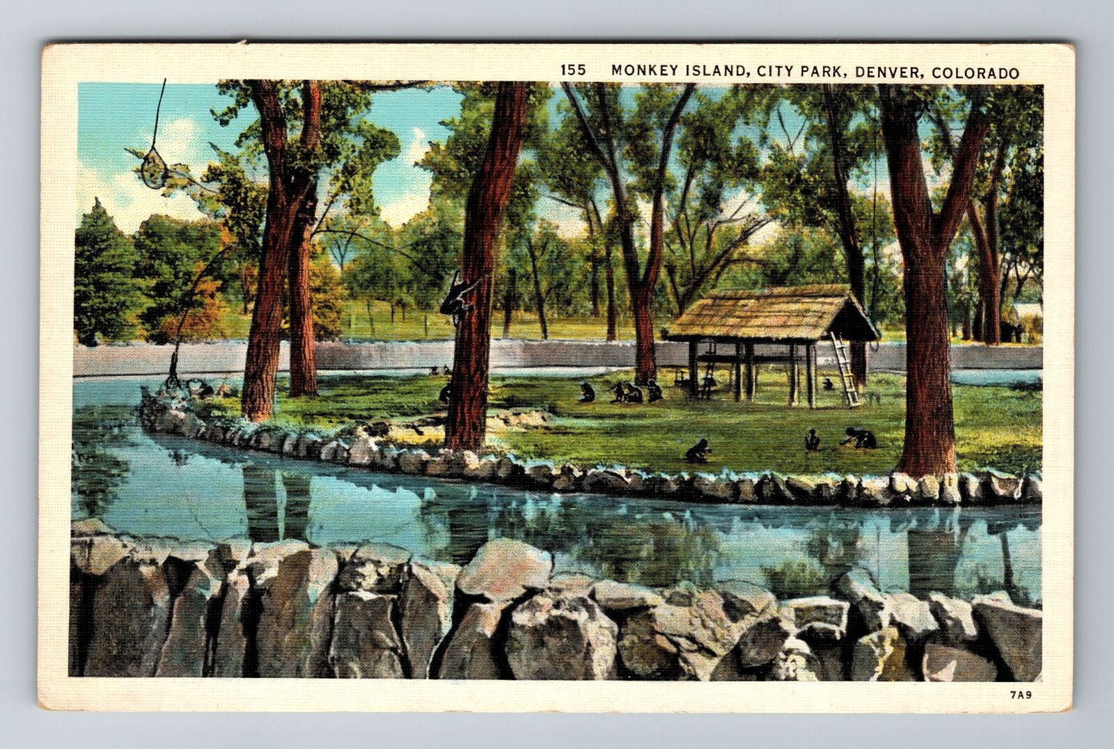 Denver CO-Colorado, Monkey Island, City Park, Antique, Vintage Souvenir Postcard