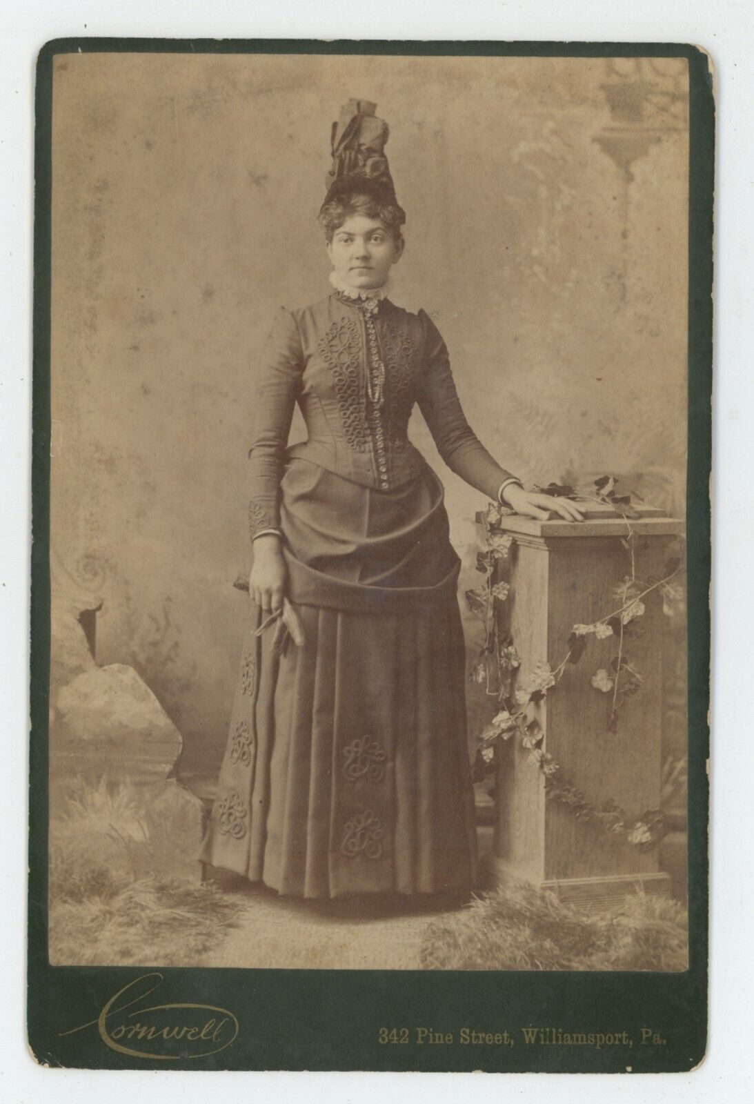 Antique c1880s Cabinet Card Beautiful Woman Stunning Dress Hair Williamsport, PA