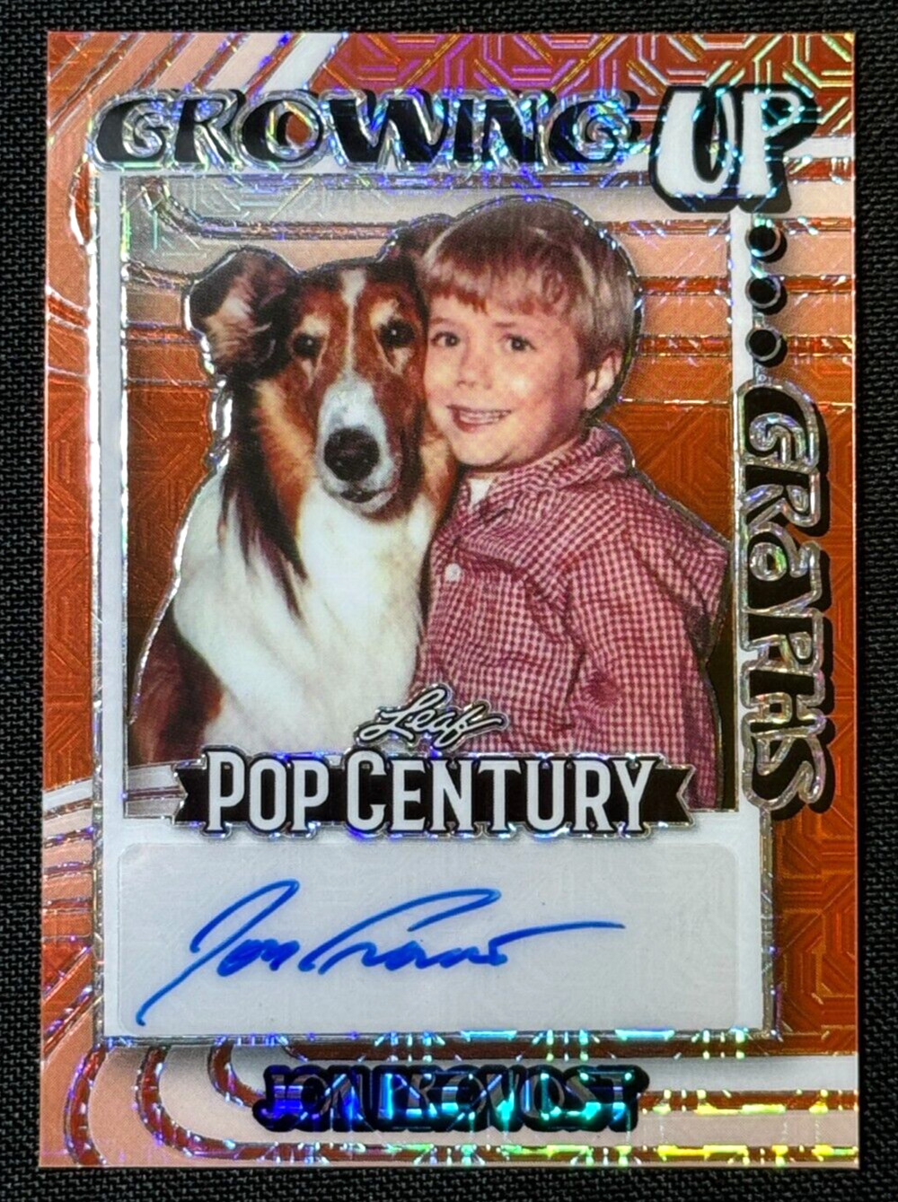 Jon Provost 2023 Leaf Pop Century Growing Up Graphs Autograph #/3 Lassie