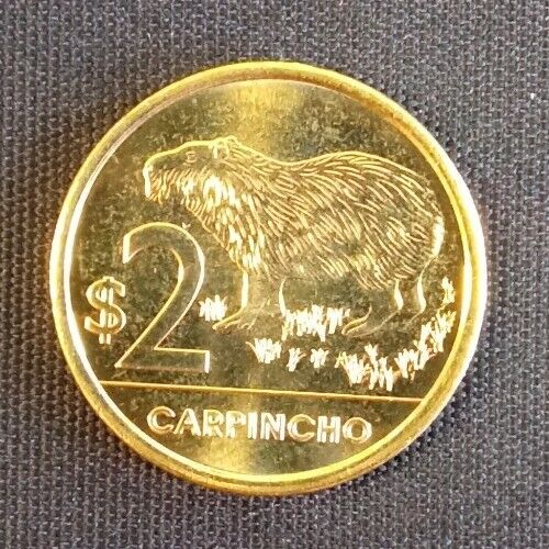 2019 UNC Capybara  coin from Uruguay Capi  Carpincho 