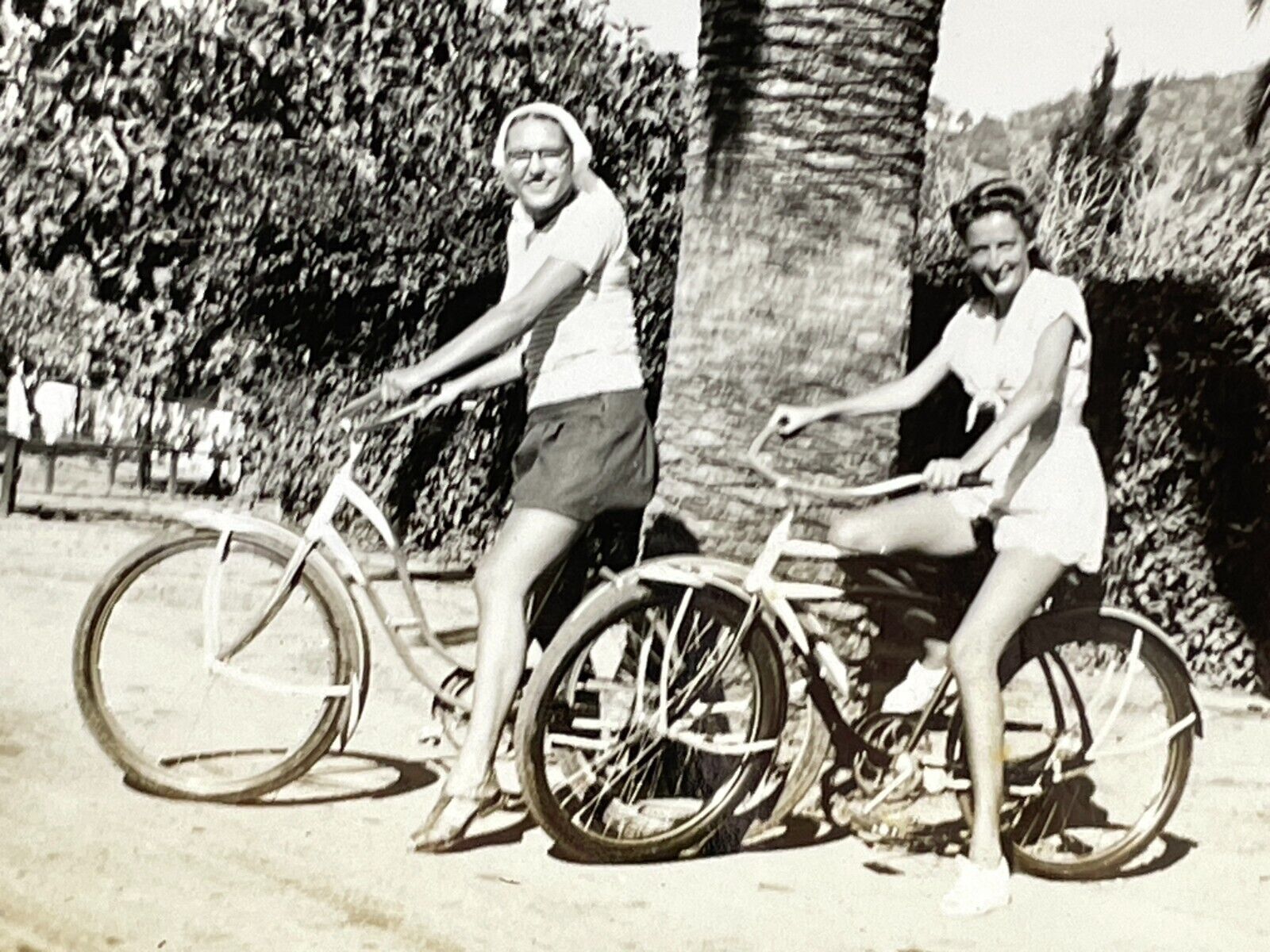 Ui Photograph 2 Beautiful Women Pretty Bikes Bicycle s Palm Trees 1940-50s