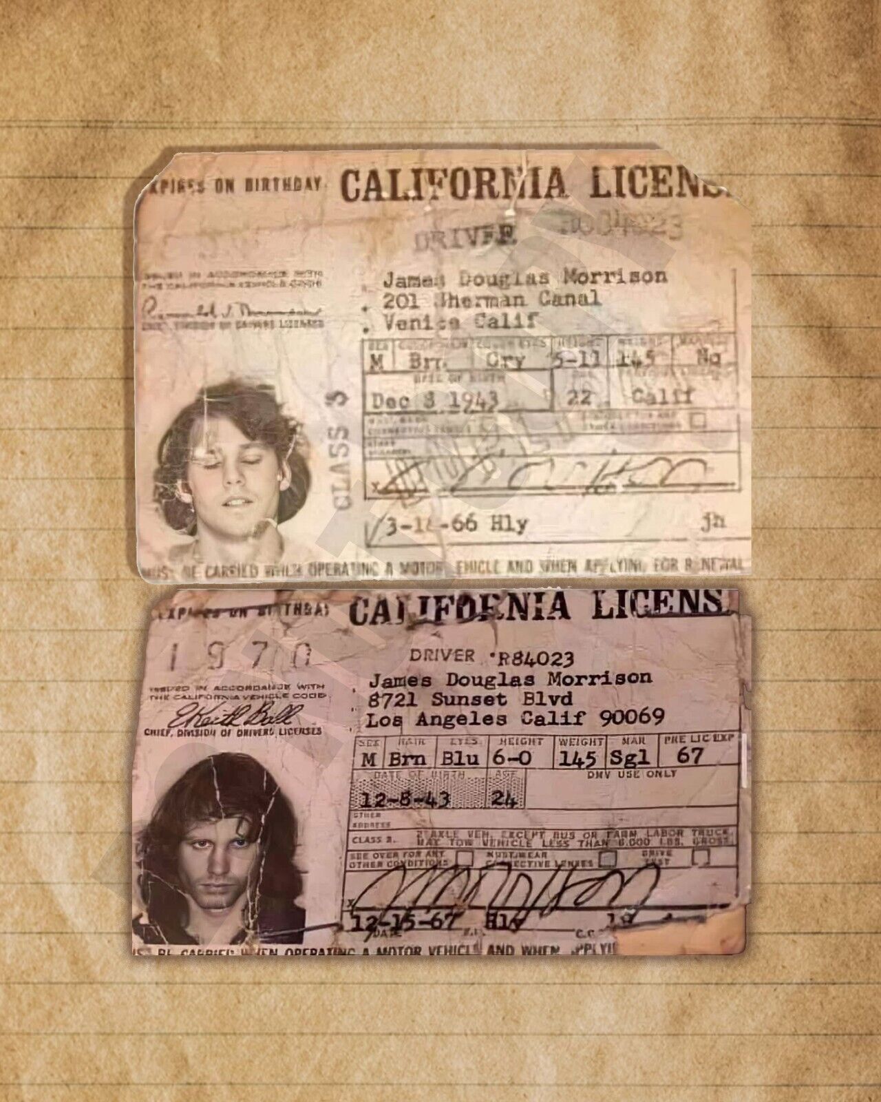 Jim Morrison The Doors Old California Driver's Licenses 8x10 Photo