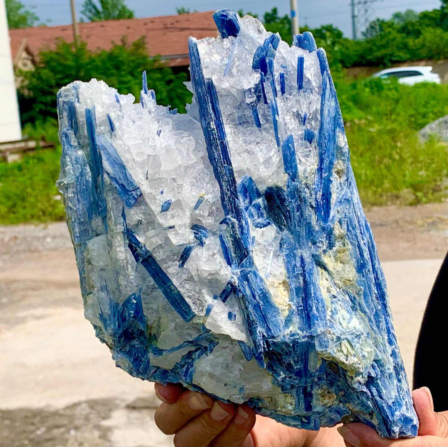 7.11LB  Rare Natural beautiful Blue KYANITE with Quartz Crystal Specimen Rough