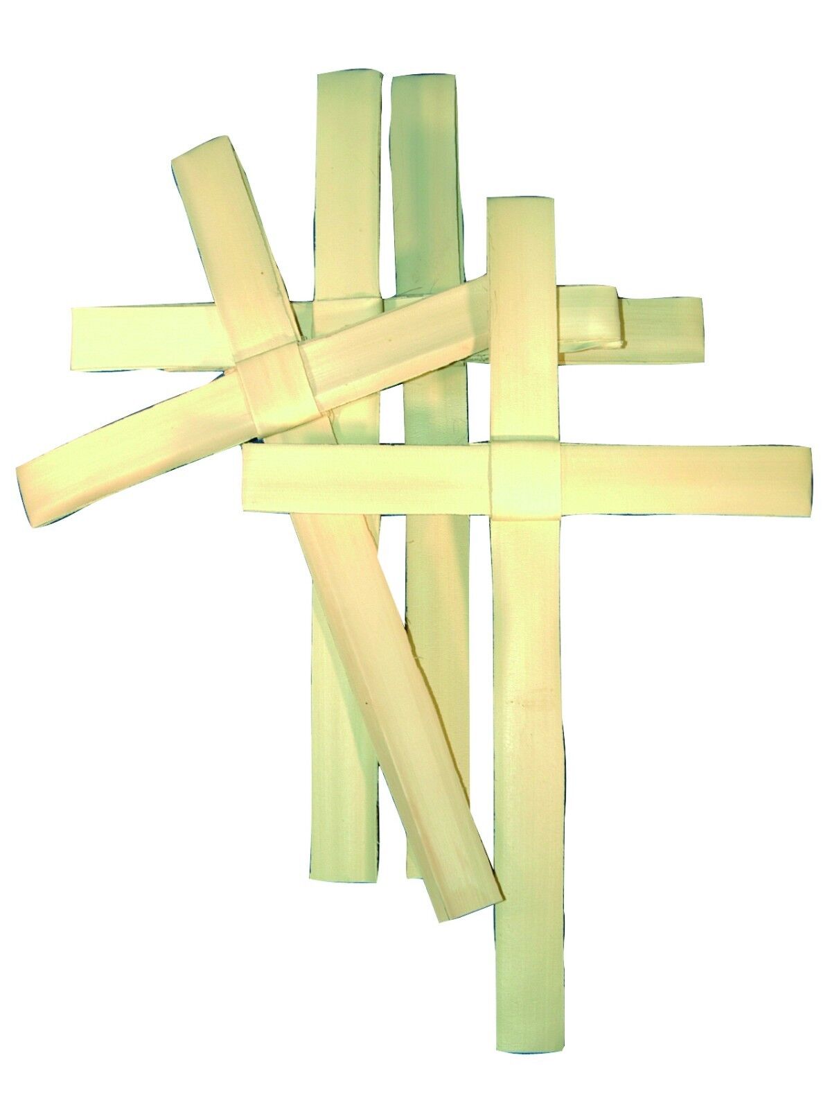 Palm Sunday Palm Crosses (50)