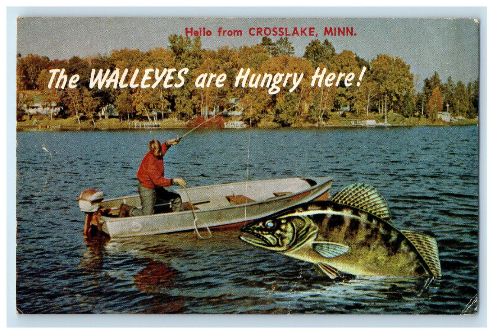 1969 Giant Walleyes Fish, Motorboat, Hello from Crosslake MN Postcard