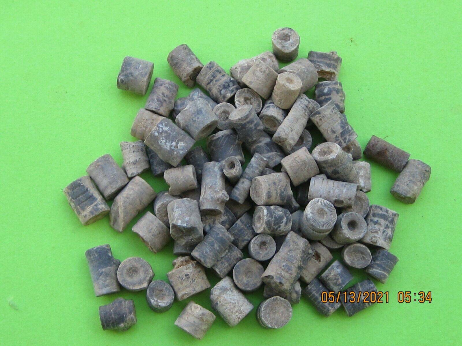 WHOLESALE LOT OF 100 FOSSIL CRINOID STEMS