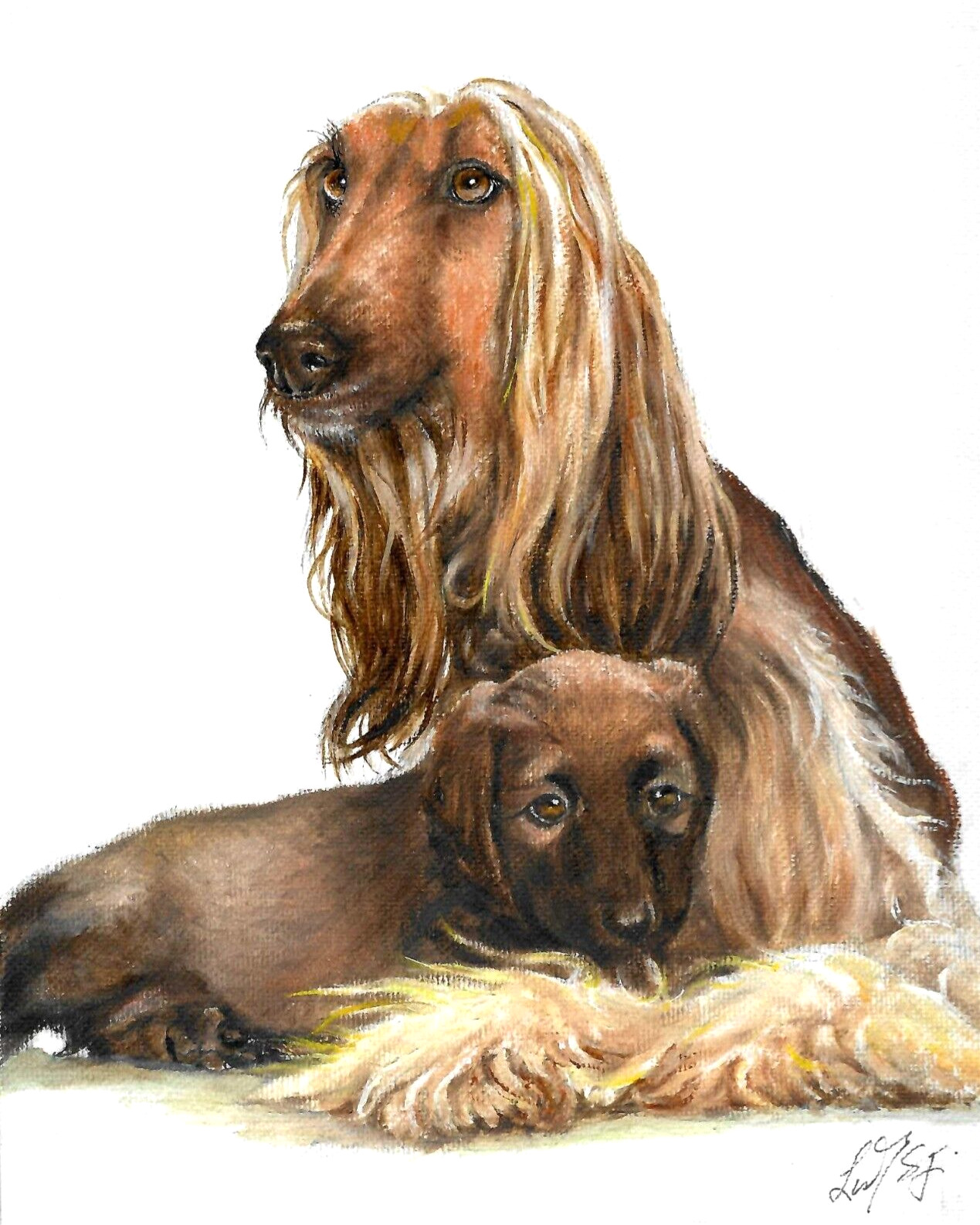 ✤ Original Oil Puppy Dog Portrait Painting AFGHAN HOUND Artist Signed Artwork