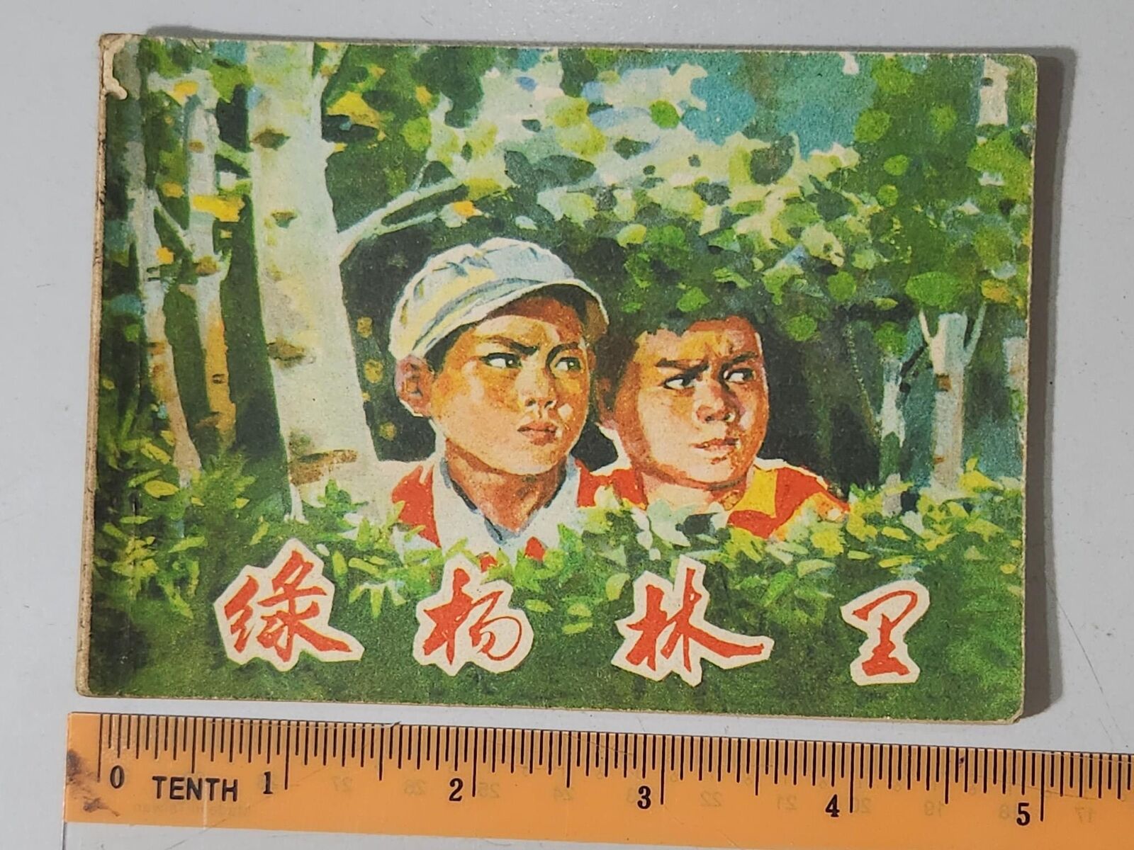 (BS1) 1975 vintage China children Chinese Comic 綠杨林里