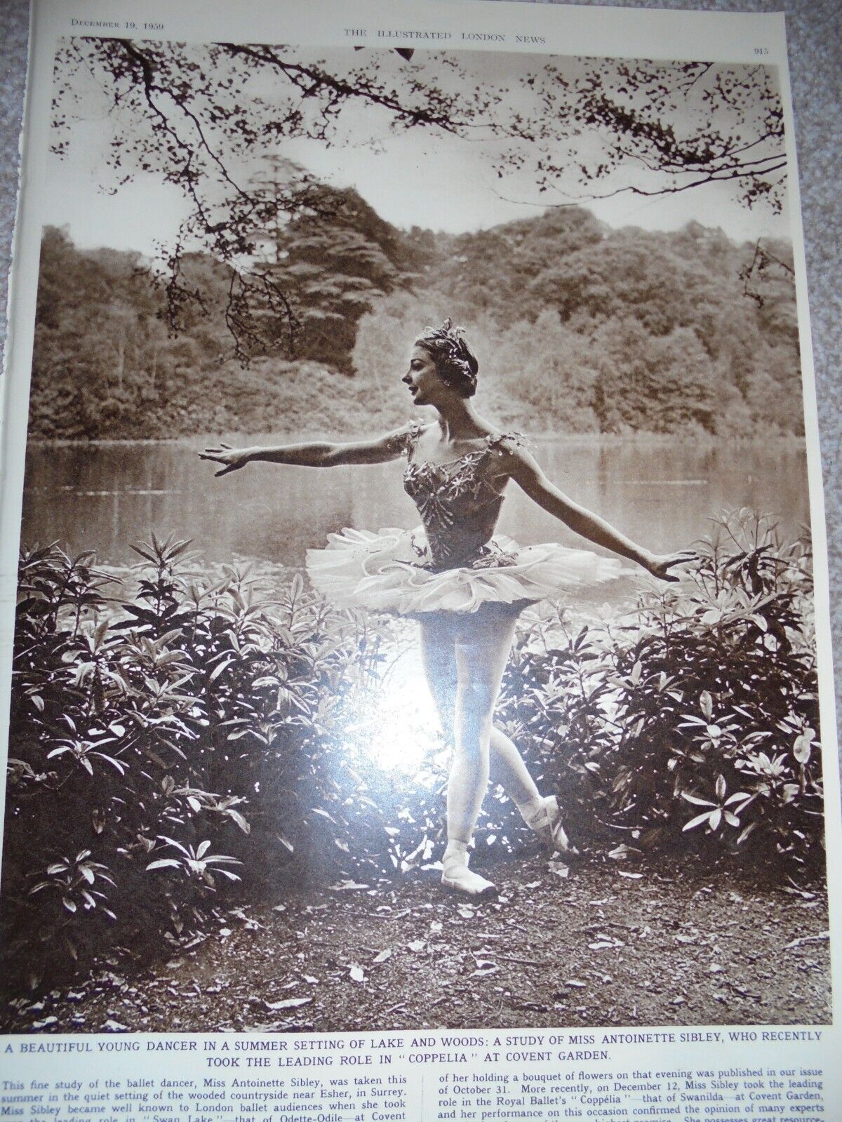 Photo article Ballerina Antoinette Sibley 1959 ref ab