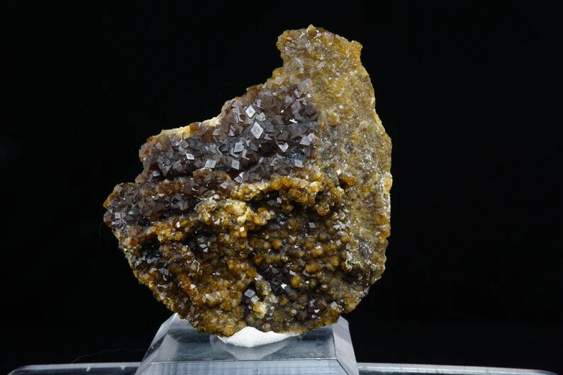 Andradite Garnet / 5.3cm Classic Mineral Specimen / From Stanley Butte, Arizona