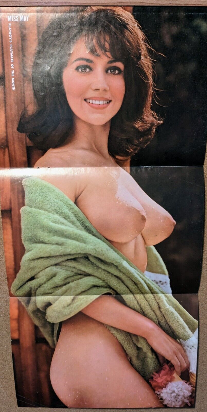 Playboy Magazine May 1965 Replacement Centerfold Only of Maria McBane