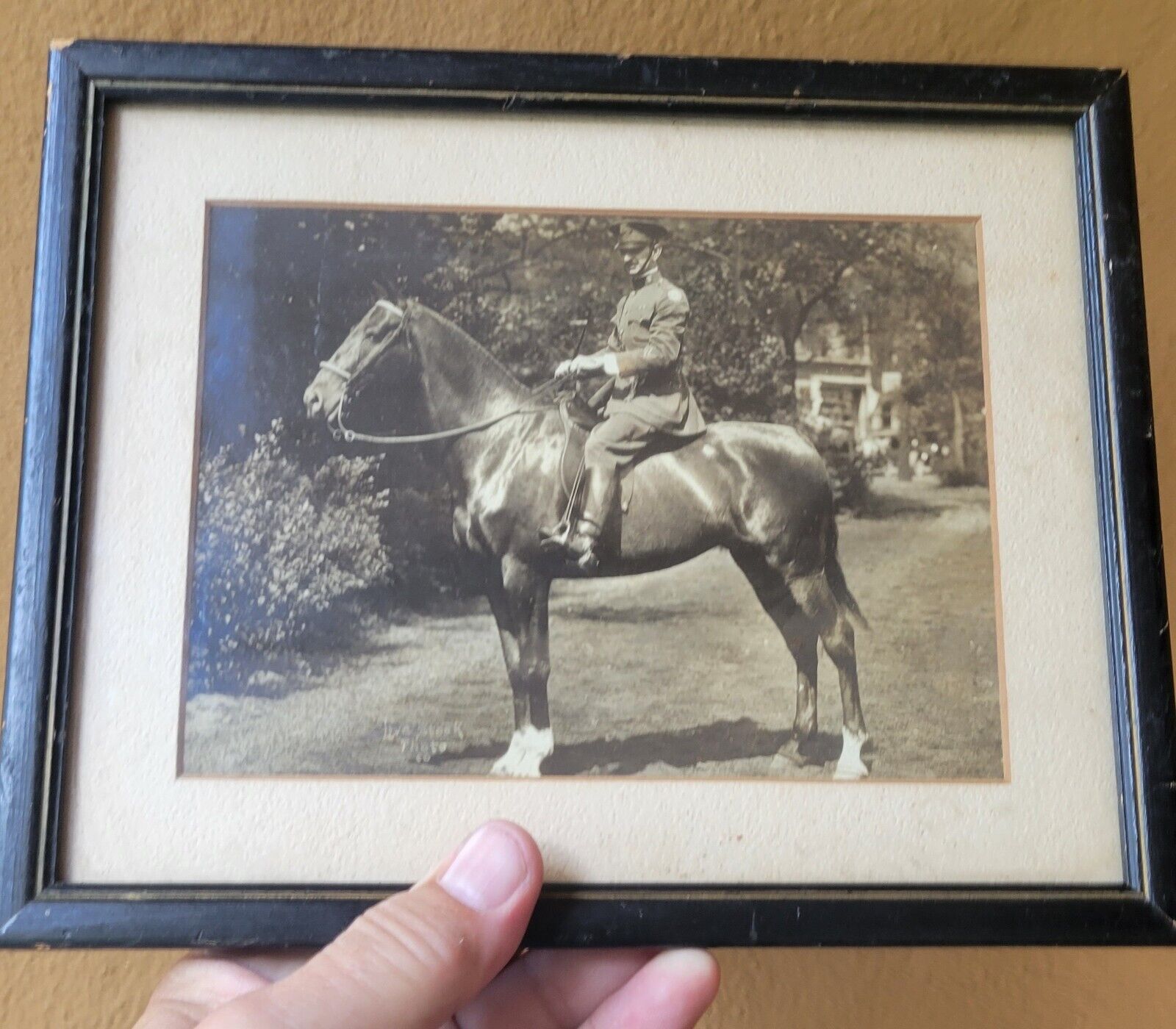 Antique Photograph WW1 World War 1 Soldier on Horseback Horse In Uniform Photo