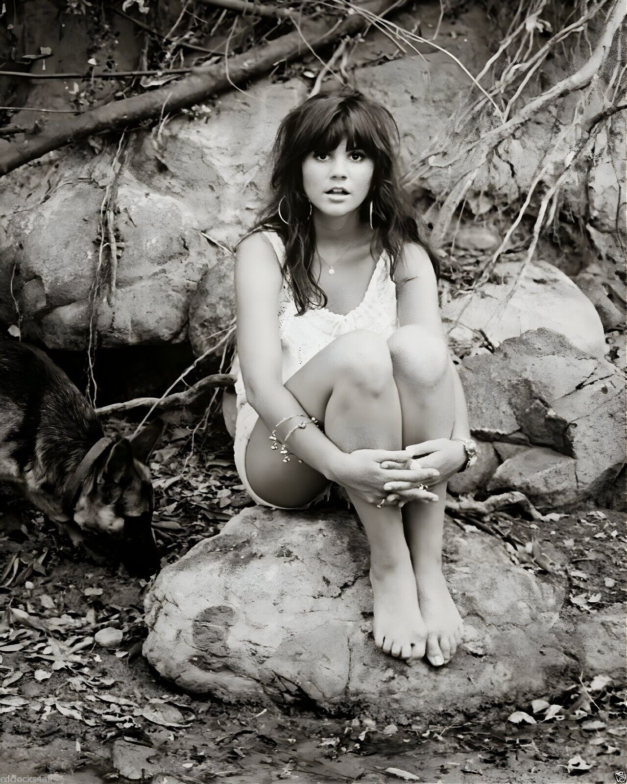 Linda Ronstadt Stone Poneys 8 x 10 Musician Picture Print Photograph Photo a757