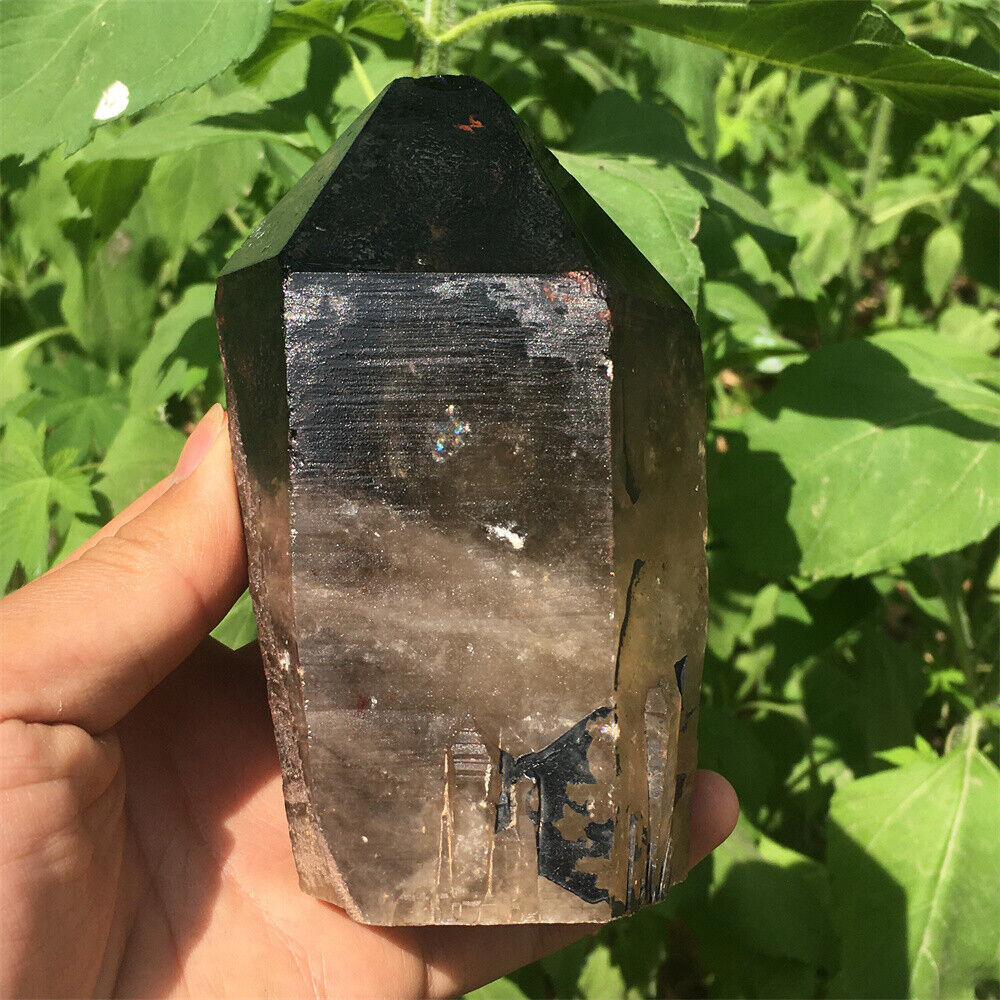 1.78LB Natural smokey quartz rare backbone quartz crystal specimen -k
