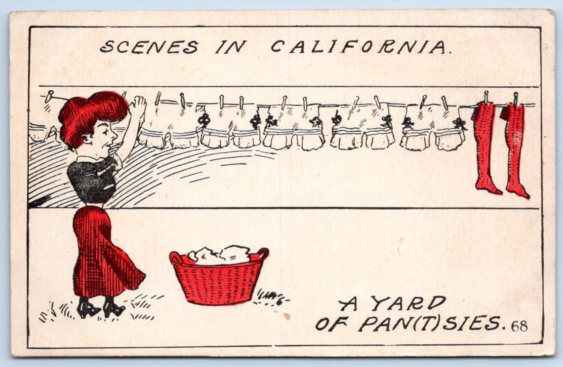 SCENES IN CALIFORNIA YARD OF PANTIES PANSIES CLOTHESLINE COMIC FREDDIES POSTCARD