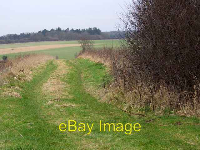 Photo 6x4 Bridleway to Great Durnford The bridleway known as Woodrow take c2009