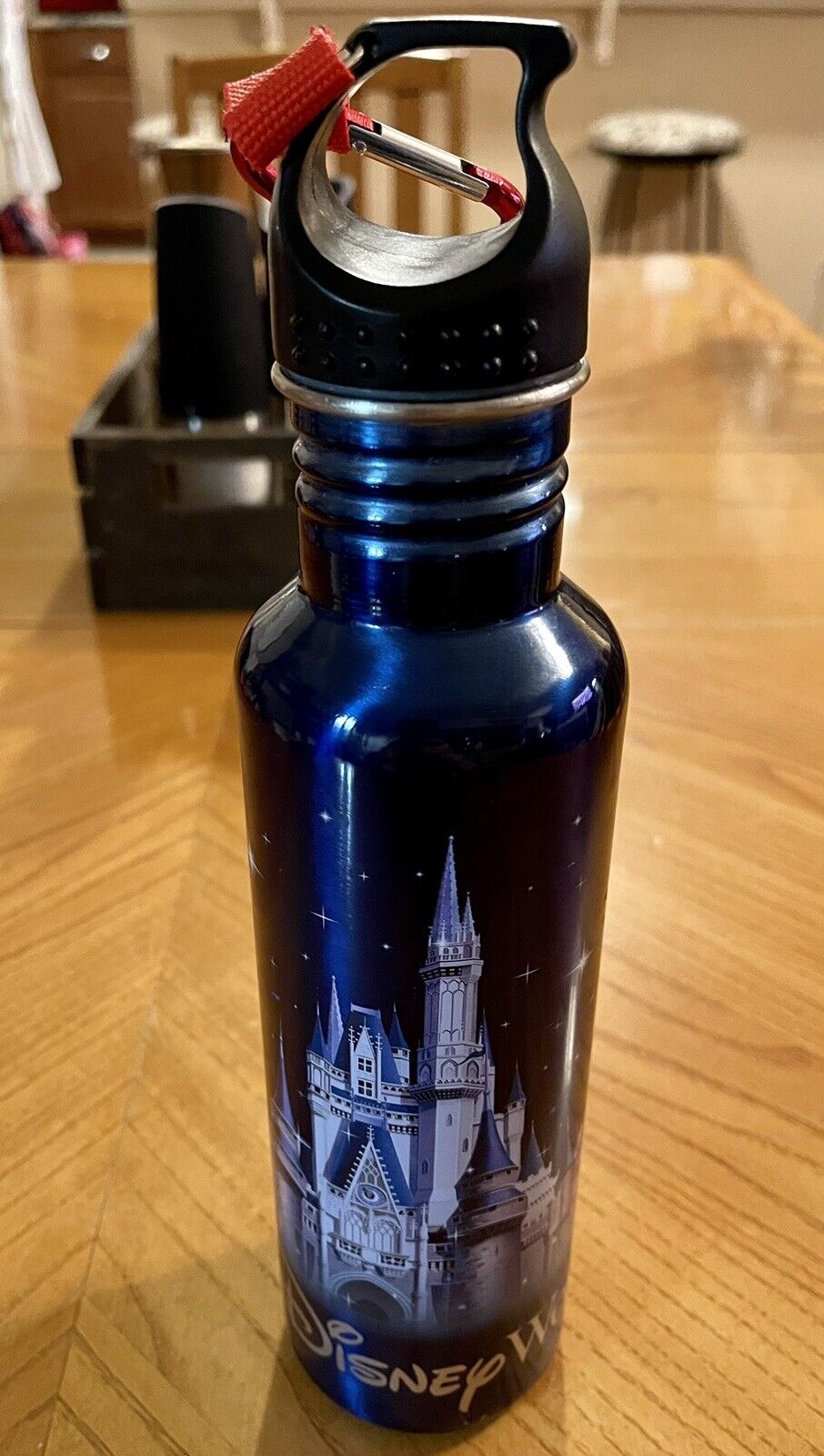 Disney Parks Walt Disney World Castle Canteen Bottle W/ Belt Clip