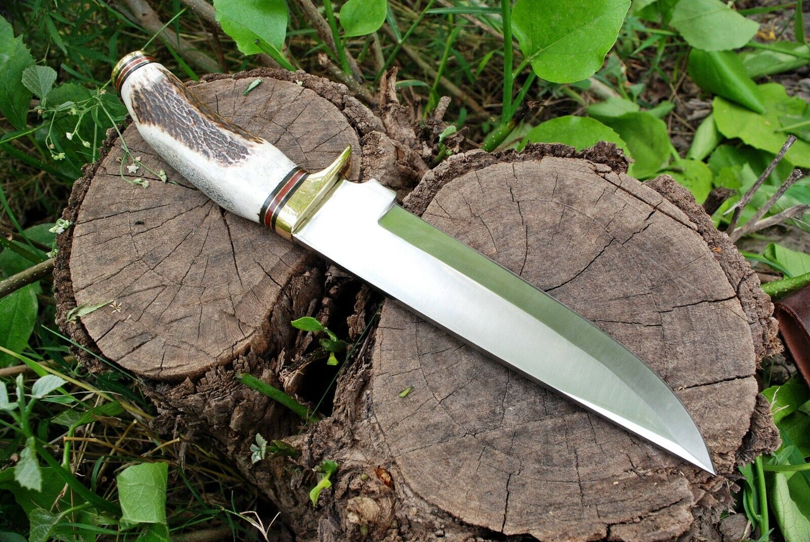 D2 SURVIVAL DEER HUNTER SHARP BLADE BOWIE KNIFE  Stag Handle Sheath