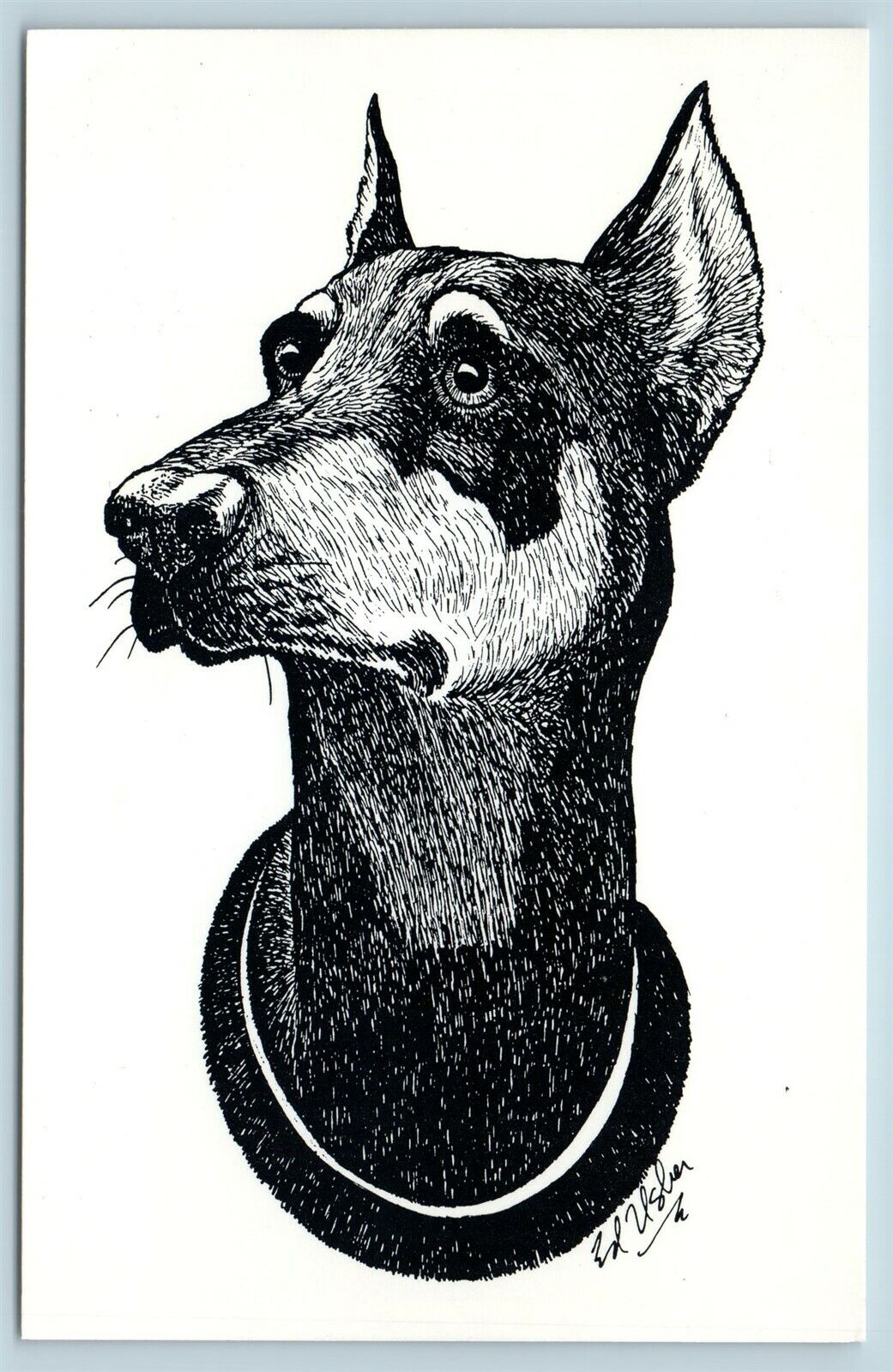 Postcard Dog Pincher In Loving Memory of Sheena Artist Edward Usher AD7