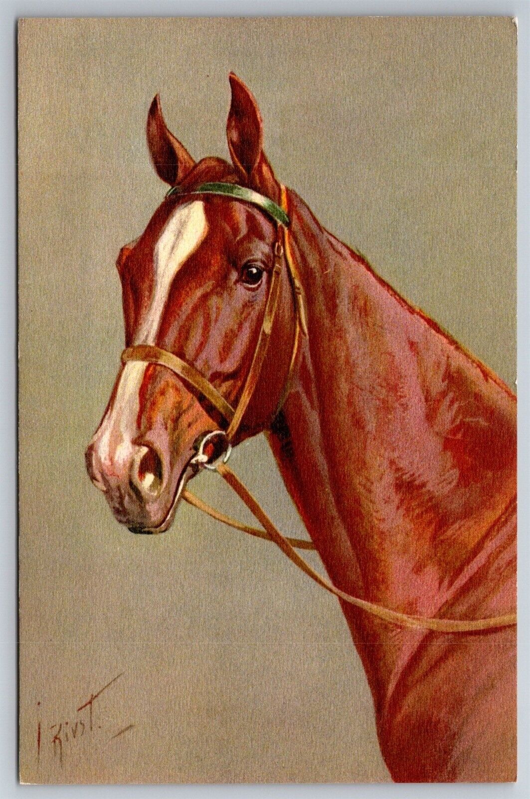 Rivst Artist Signed Thoroughbred Horse Swiss Harnessed Postcard P2