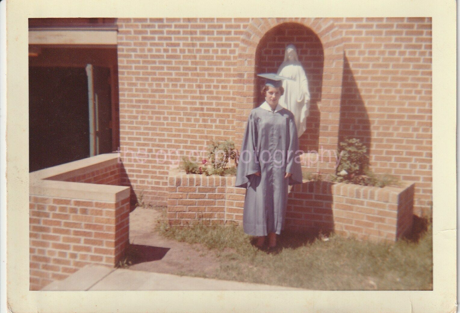 The Graduate FOUND PHOTO Color  Original Snapshot VINTAGE 96 22 L