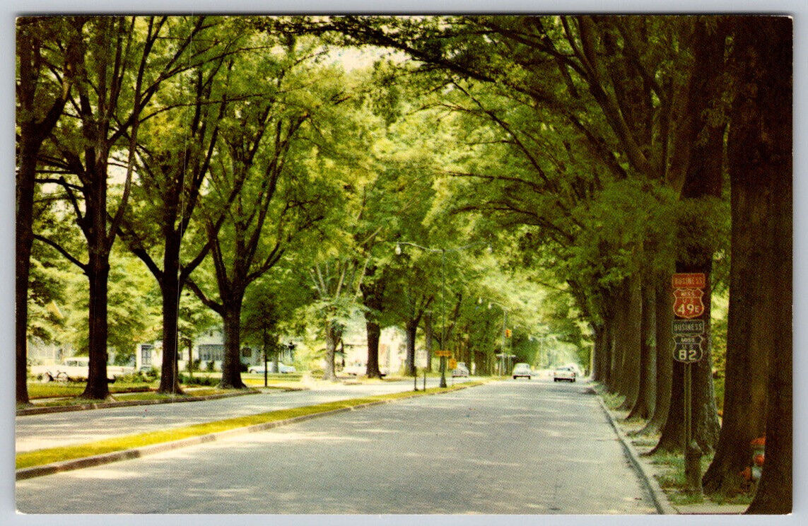 Grand Boulevard Greenwood Mississippi Postcard