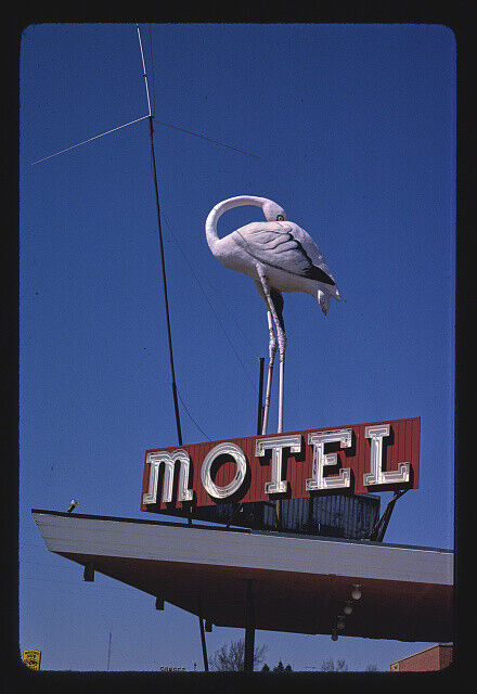 Flamingo Motel sign Route 30 Marshalltown Iowa 1980s Historic Old Photo