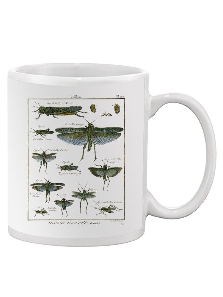 Insects Encyclopedia Mug - Denis Diderot Designs