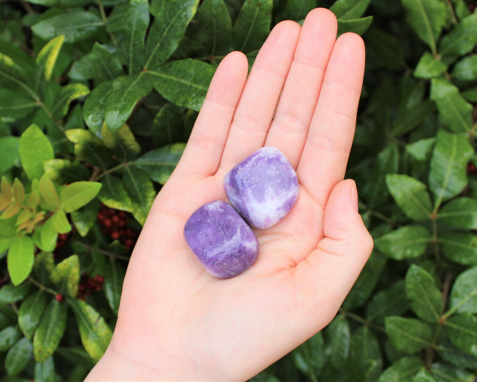 2 (Two) Pieces of Lepidolite Tumbled Stones (Crystal Healing, Purple Stone)