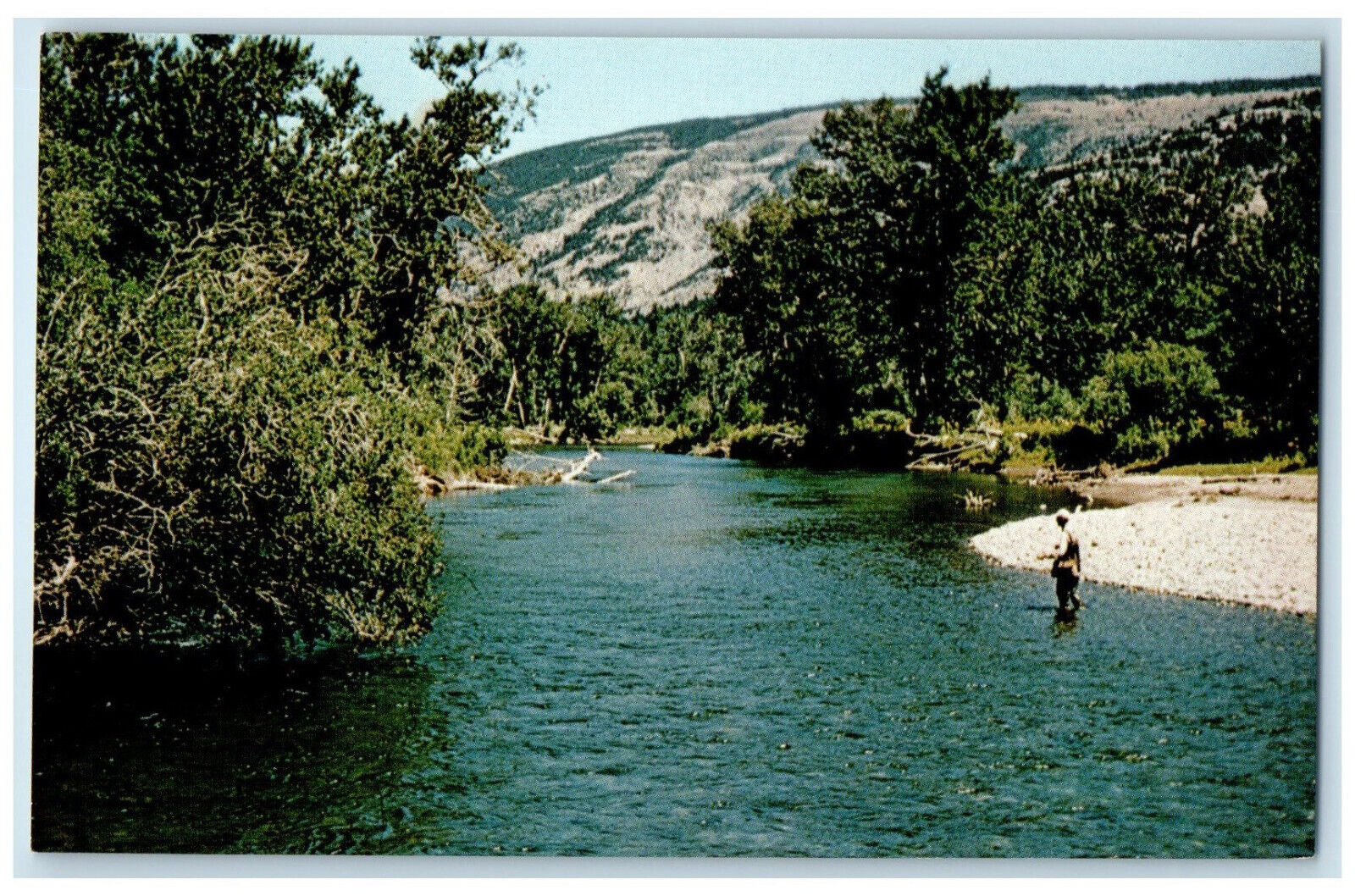 c1960\'s Fishing The Boulder River Ranch Mcleod Montana MT Vintage Postcard