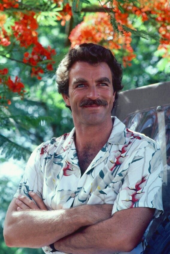 Magnum P.I. 24x36 inch Poster Tom Selleck Arms Folded