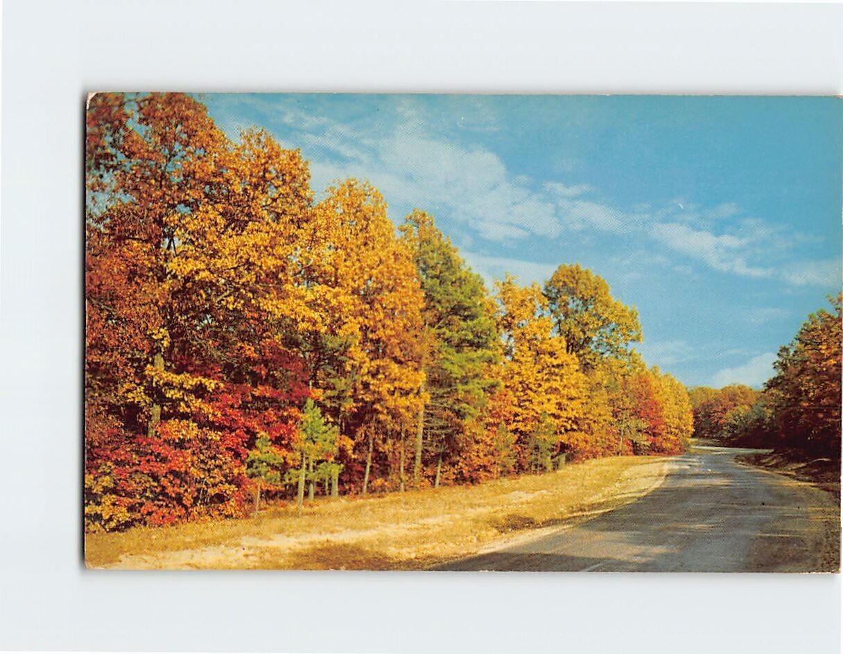 Postcard Autumn Scene Greetings from Pawling New York USA