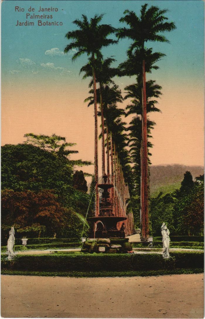 CPA AK Rio de Janeiro Palmeiras Jardim Botanico BRAZIL (1084788)