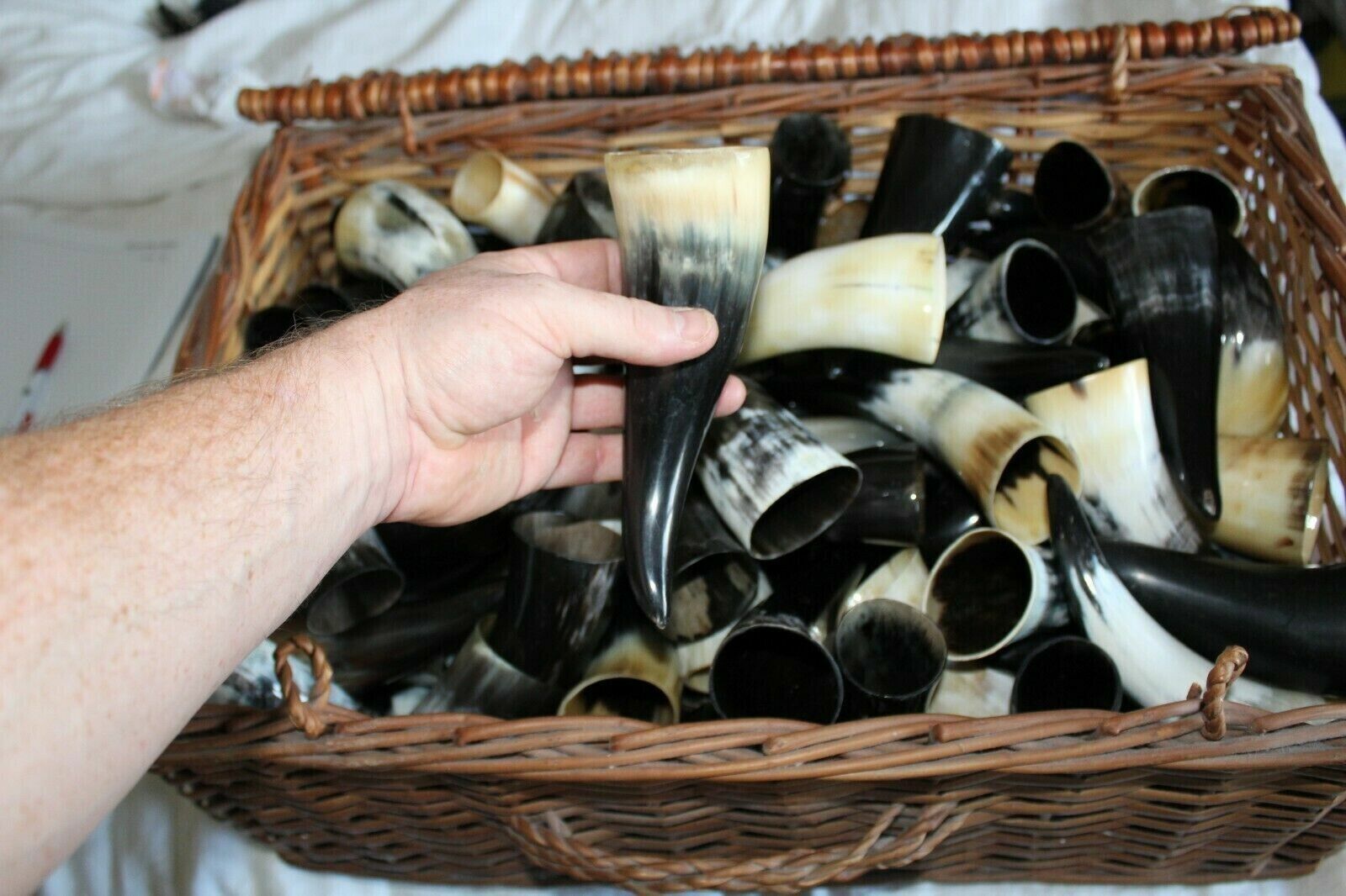 50 Pieces Of Drinking Horn 100 ml plus Real Horn, Medieval Viking Reenactment