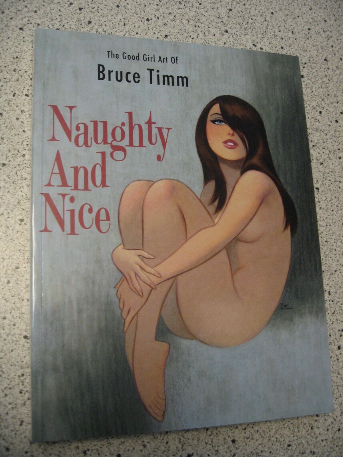 NAUGHTY & NICE GOOD GIRL ART BRUCE TIMM SC FLESK Sexy Female 2021 Sketchbook