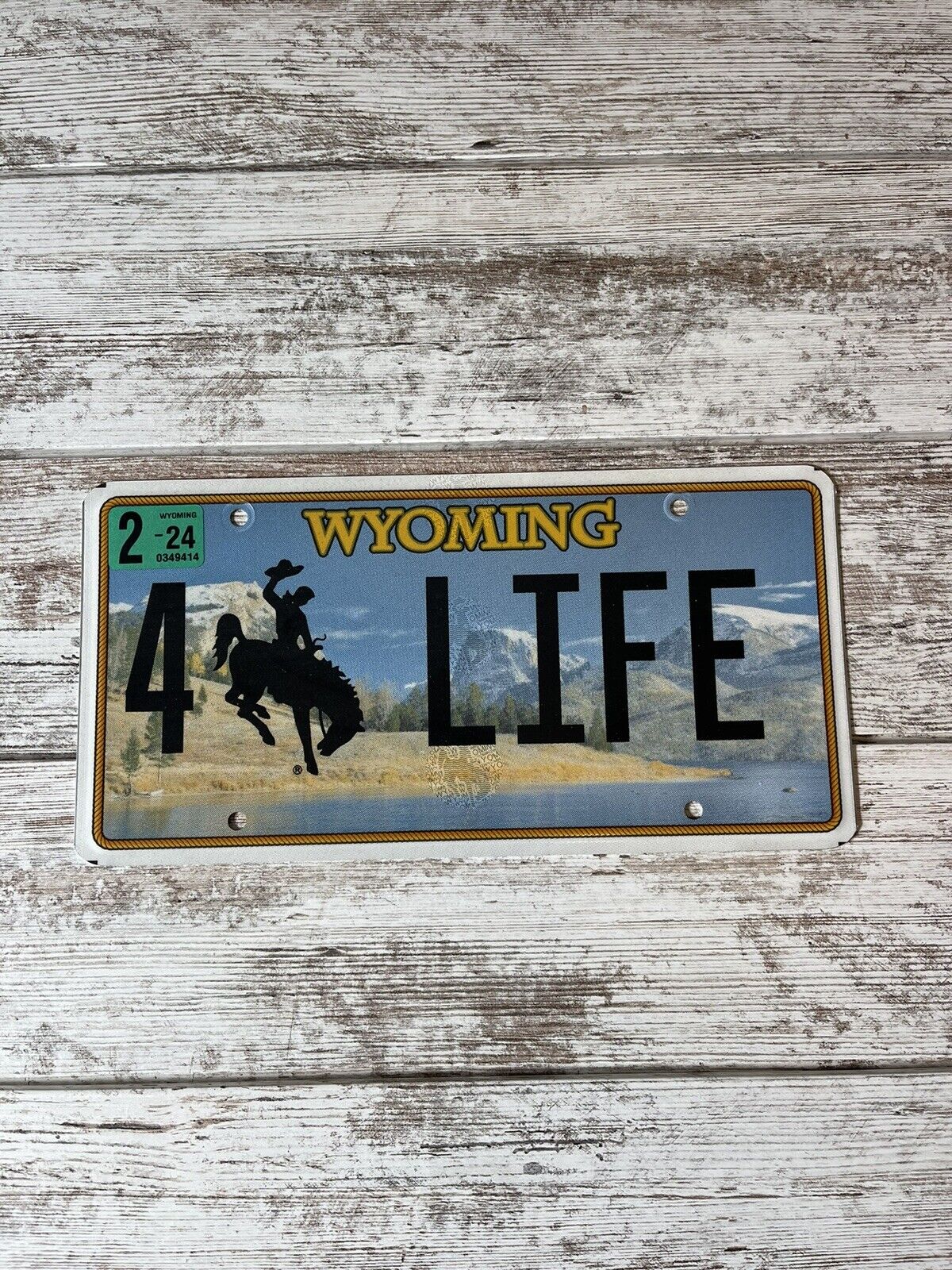 Wyoming CHOOSE LIFE, PRO LIFE 4 Life Authentic Real Personalized Plate