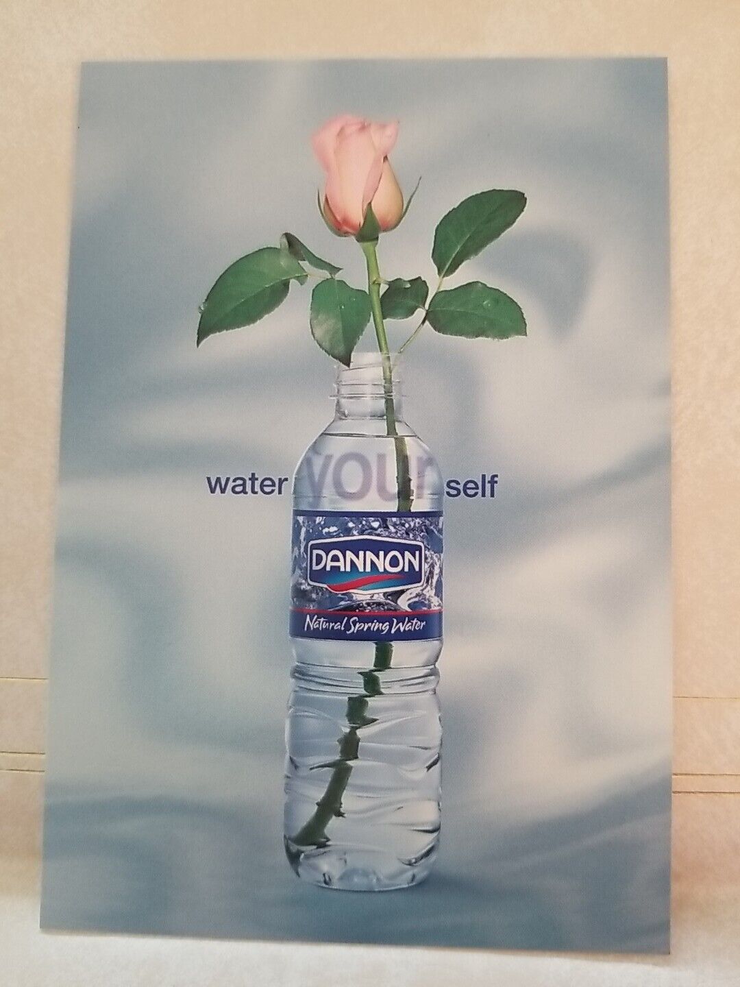 Dannon Spring Water Advertisement Water Yourself Any You\'ll Bloom Unposted 