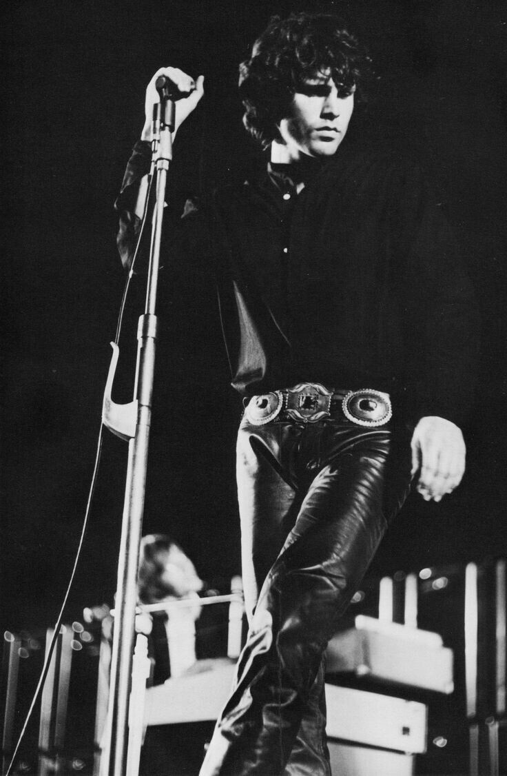 The Doors Jim Morrison  Photo 8x10