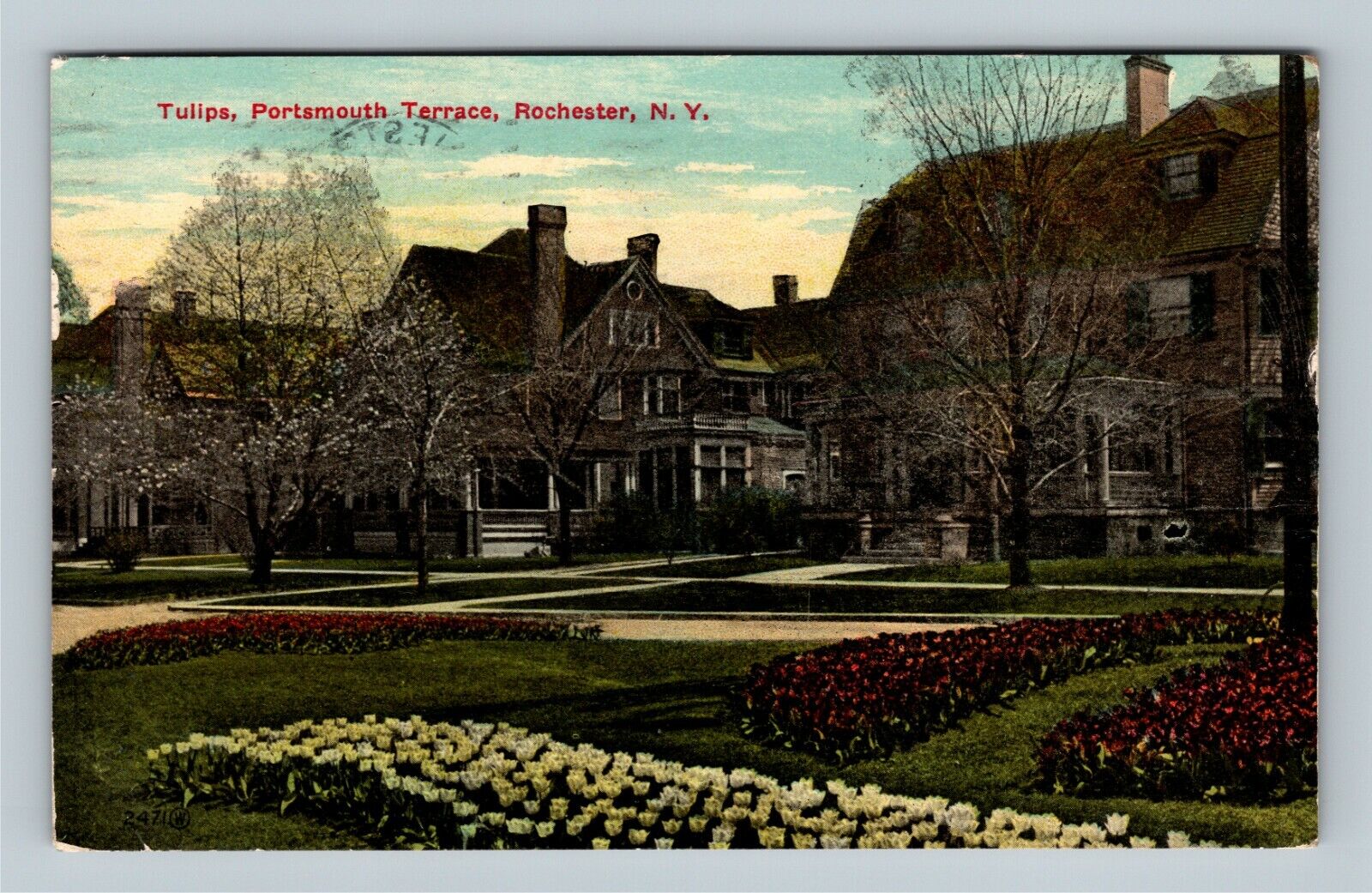 Rochester NY, Tulips, Portsmouth Terrace, Vintage New York c1914 Postcard