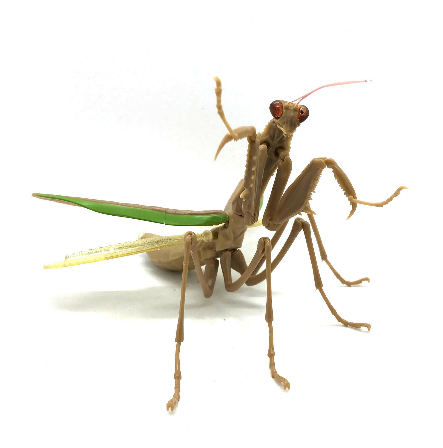 Bandai Encyclopedia of Creatures MANTIS Abdominal Normal No.03 Insect Figure