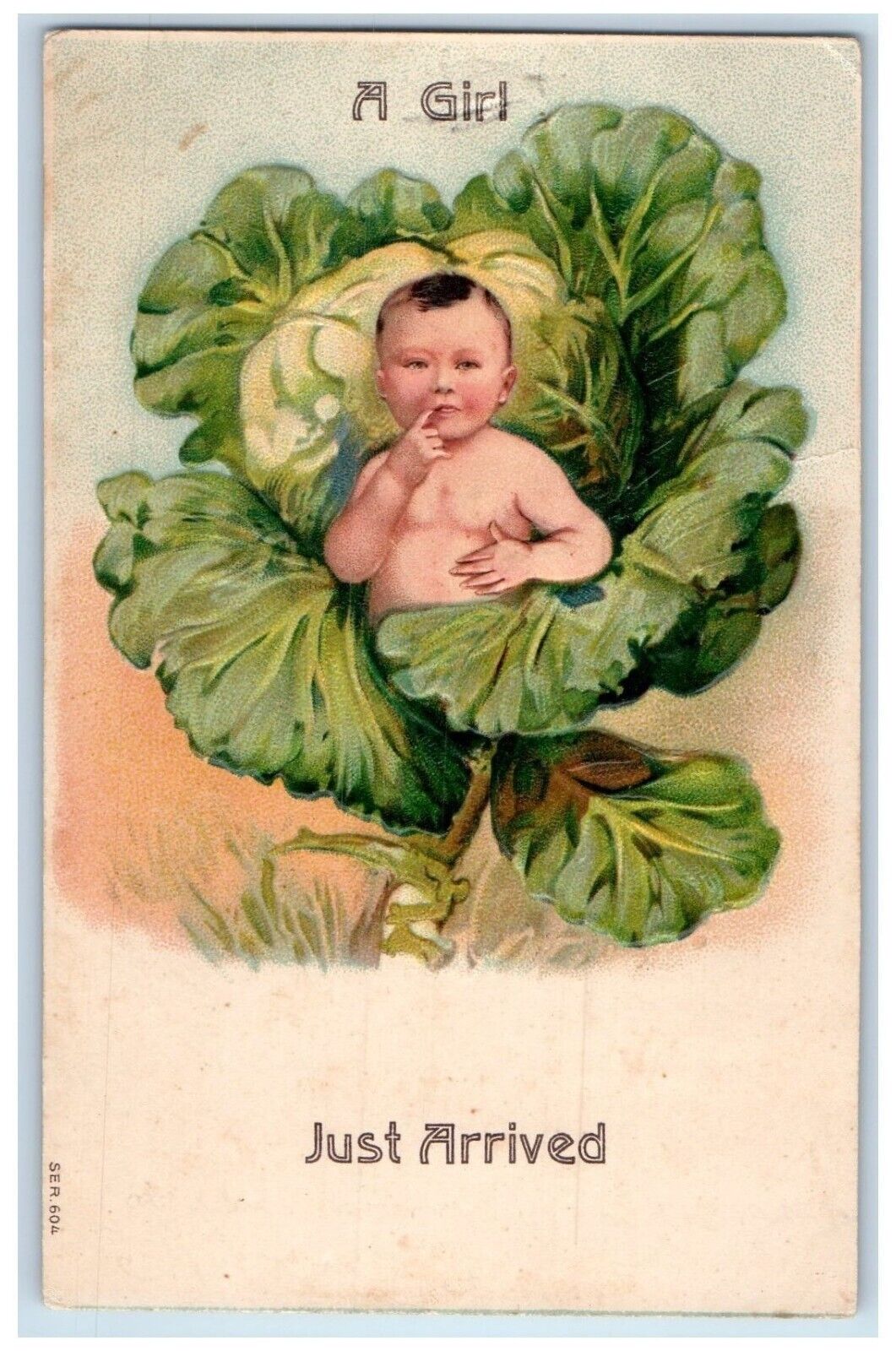 c1910's Cute Girl Just Arrived In Cabbage Embossed Unposted Antique Postcard